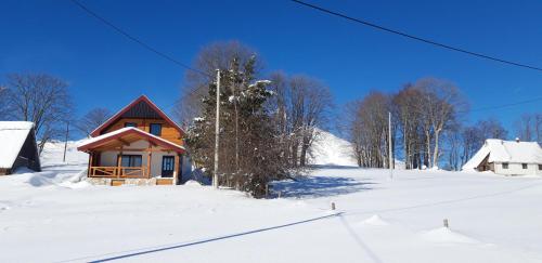 Eco Village Highlander - image 11