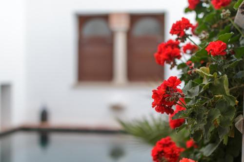  ApartaSuites Alberca Deluxe in Córdoba