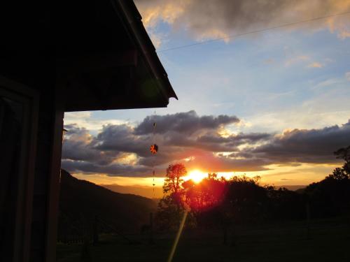 Cabana Leão Baio