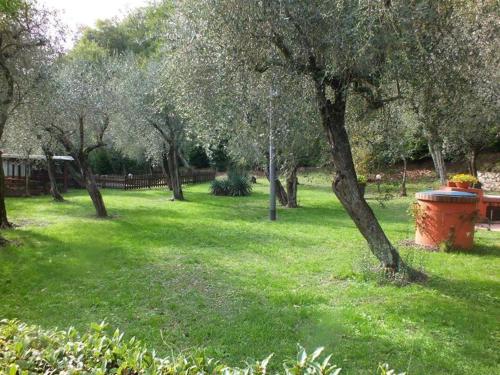Gli Ulivi Bed & breakfast - image 6