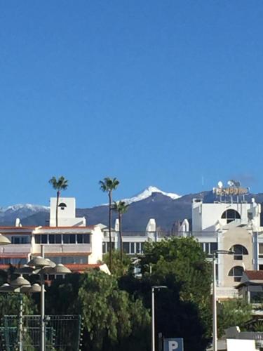 GO2TENERIFE Apart'Gecko EXTRAORDINARY sea view