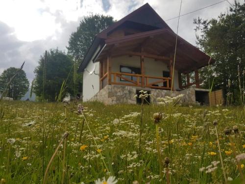 Eco Village Highlander - image 8