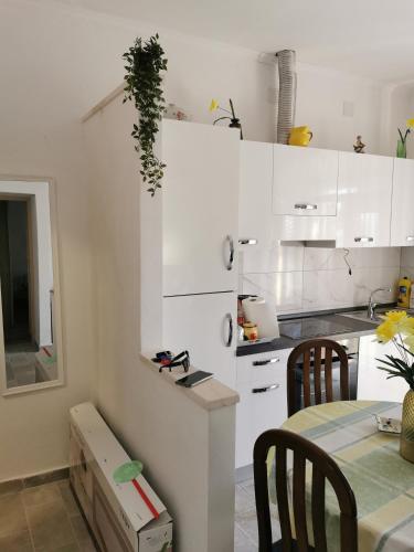 Apartman Trator