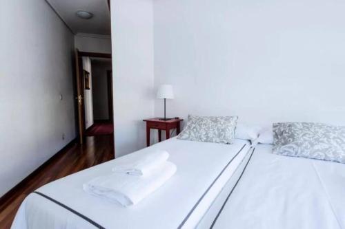  EL BALCÓN DE CAMPO LOS PATOS in Oviedo