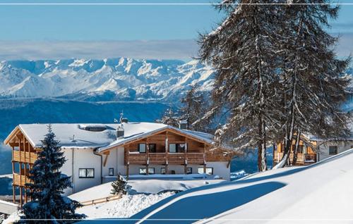Hotel Chalet Dolomites - image 8