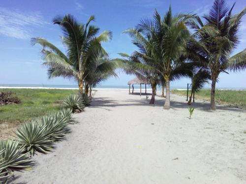 Beach, Jardin Pacifico in Canoa