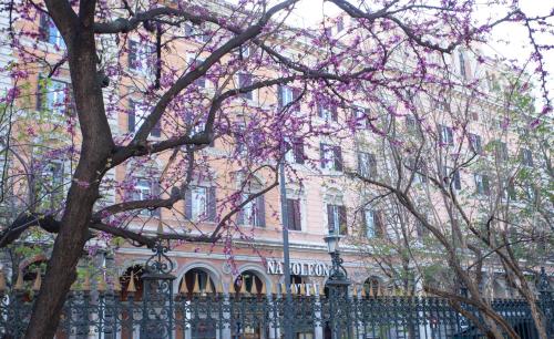 Hotel Napoleon - image 12