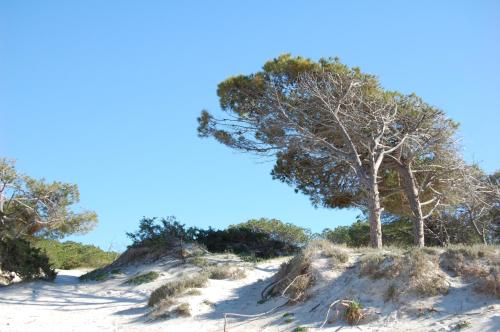 Residence Buganvillea - main image