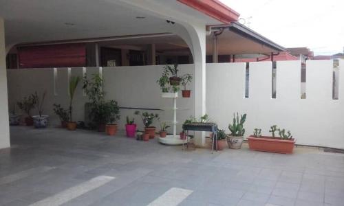 Singa Angsa house