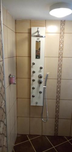 Benita Inn apartments, Sofia (foto 4)