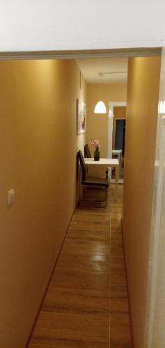 Benita Inn apartments, Sofia (foto 3)