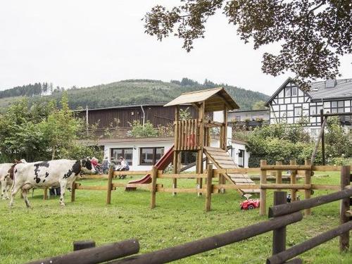 Ferienbauernhof Gördes - Apartment - Schmallenberg