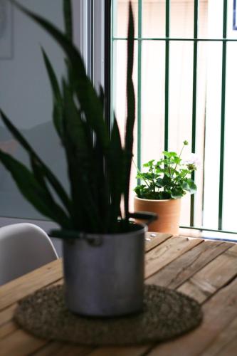 Apartamento ideal para estancias largas y teletrabajo