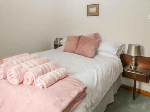 Thrushel Cottage - main image