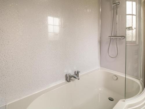 Thrushel Cottage - image 5