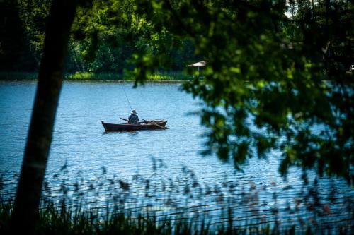 VieniKrante VieniKrante