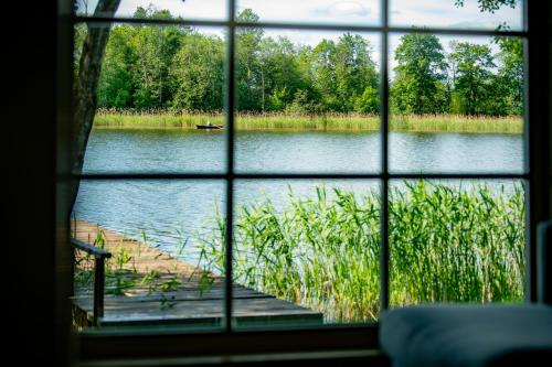 VieniKrante VieniKrante