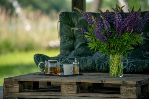 VieniKrante VieniKrante