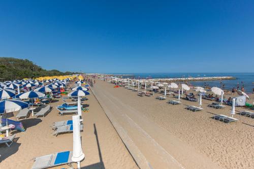 Robinia/Pinetine Lido Altanea 4