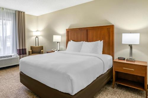 Comfort Inn & Suites St. Pete - Clearwater International Airport