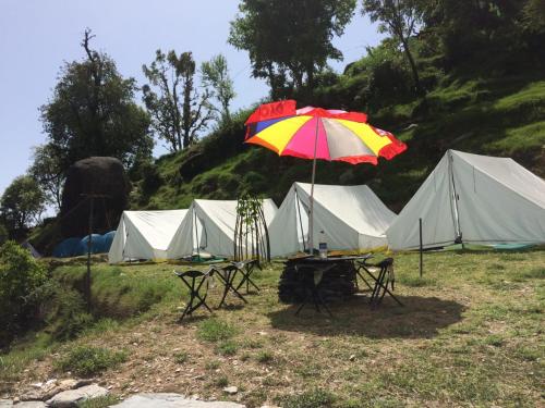 Triund Terrestrial Adventure