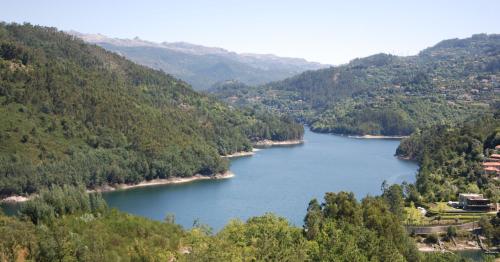 Hotel Carvalho Araujo - image 3