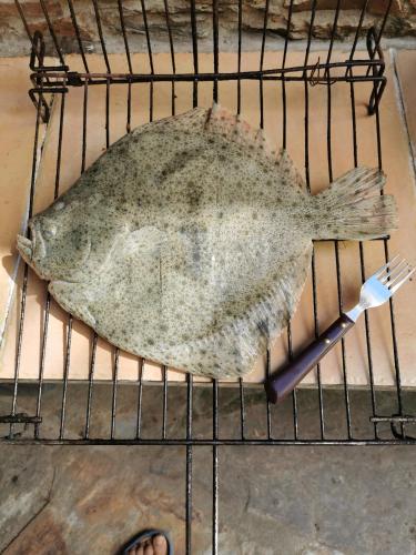  Habitación Cuadruple con derecho a Barbacoa y patio in Navia de Suarna