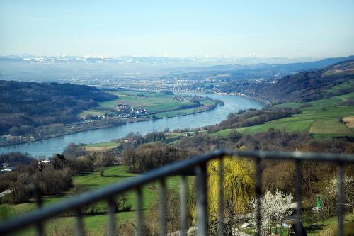  Rose, Pension in Maria Taferl bei Ybbs an der Donau