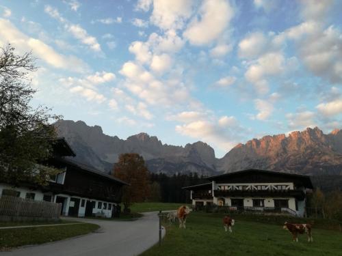 Pension Sunnbichl in Going, Österreich