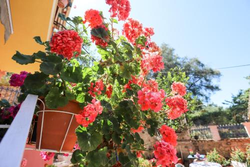 Alexis & Loula Village House 5