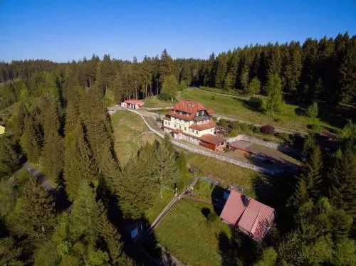 Alpaka Haus Sanssouci Tanne Oberharz in Tanne, Deutschland