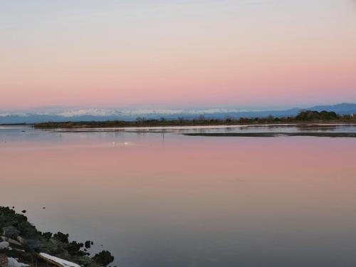 Hotel Antares - image 11