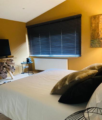  B&B Supérieur Villa vanille in Namur