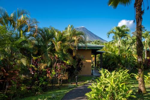 294744701 Arenal Manoa Resort & Hot Springs