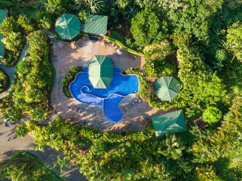 294744981 Arenal Manoa Resort & Hot Springs