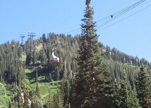 Treehouse at Little Cottonwood in Salt Lake with Indoor Hot Tub - image 3