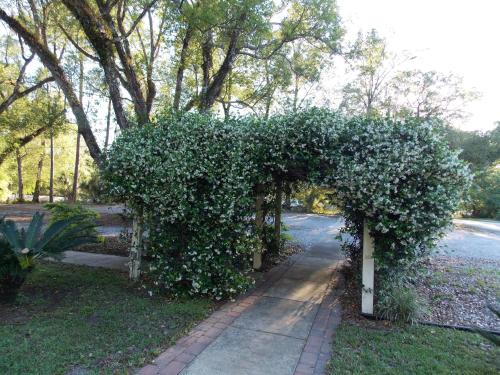 The Ann Stevens House - 정원