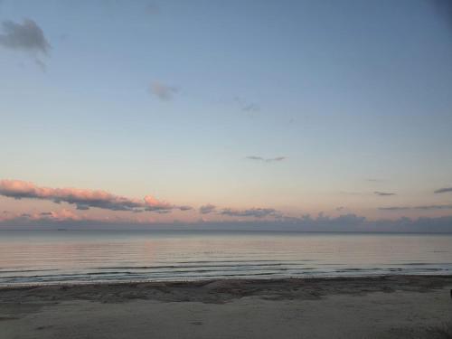Rasarit de Soare