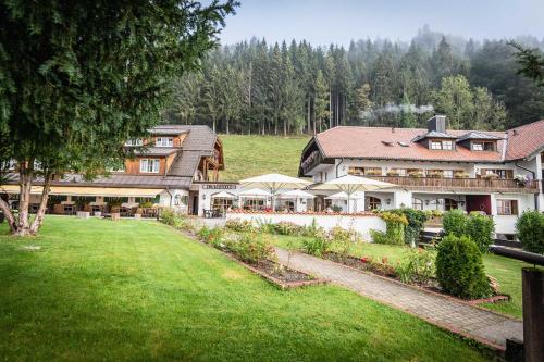 Hotel Blaue Gams ***S - image 4