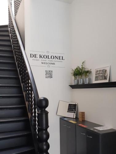 Kolonel - Charmant & lichtrijk app aan zee 4p Room Type - Deluxe Studio