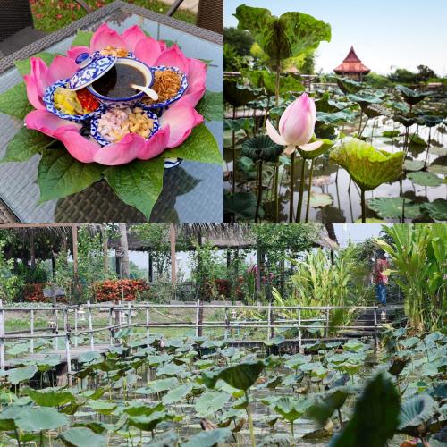 Ayutthaya Garden River Home