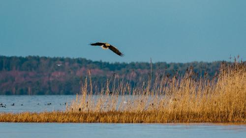 Cottage in Svencele by Curonian Lagoon