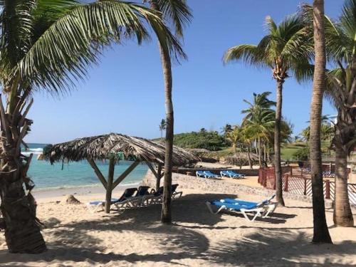 Gwada Cocoon & Blue Lagoon, 2 studios cote a cote au Manganao, St Francois