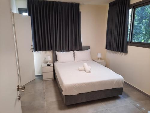 1 double bed, 1 sofa bed
