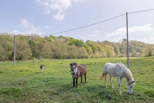 Gîte Le Moulin Pocheluberry - image 8