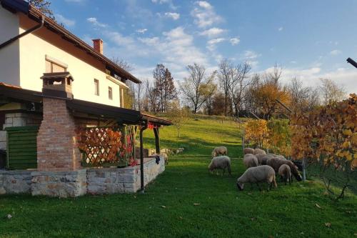 Guest House Pinus - Generalski Stol