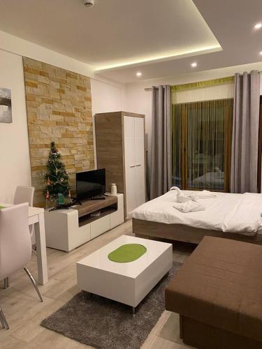 King Studio with Sofa Bed