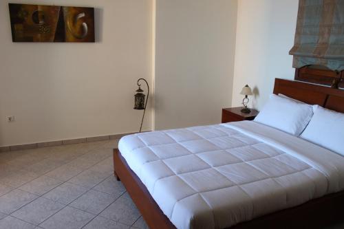 Hotel Diana - image 12
