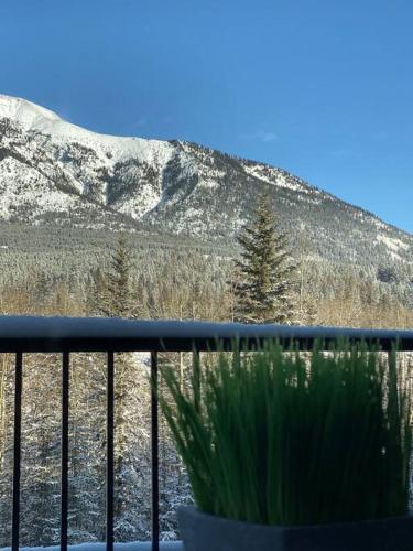 THE ROCK GARDEN - The Feeling of Mountain Zen