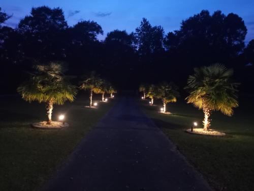 Cozy Mobay Cozy Mobay